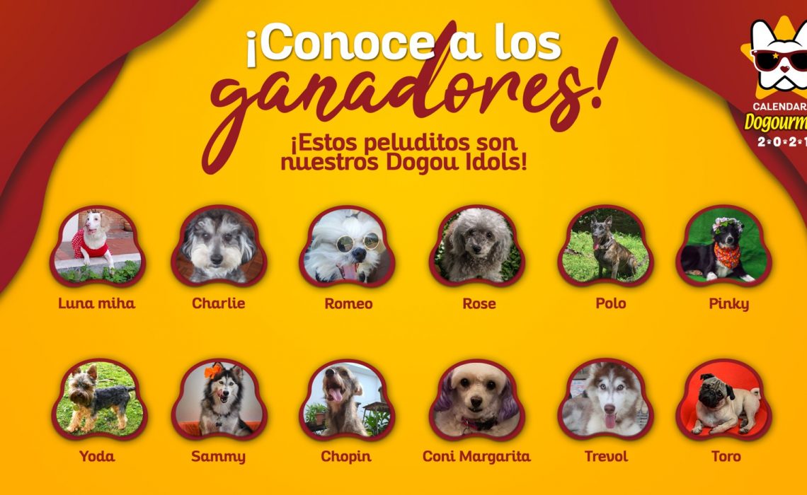 El Calendario Dogourmet 2021 ya Tiene a sus Doce Protagonistas