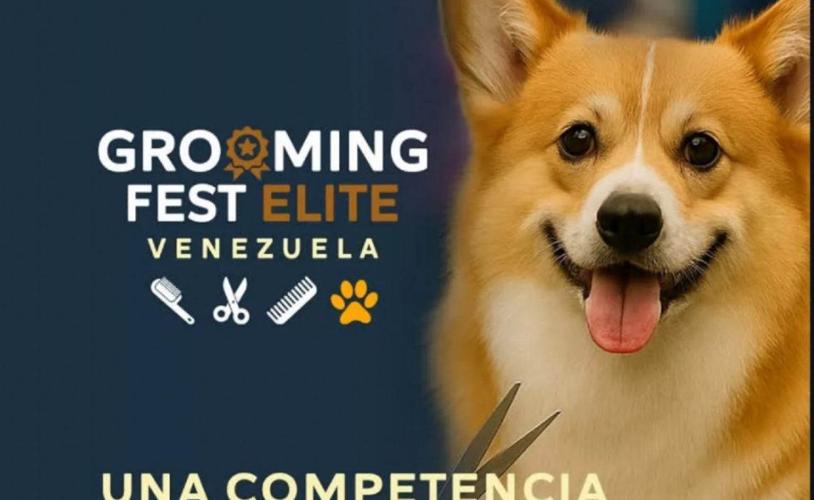 Grooming Fest Venezuela: Un Evento Único para las mascotas en Valencia